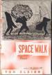 Space Walk