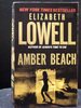 Amber Beach the First Book Donovans
