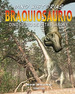 Braquiosaurio Dinosaurio De Patas Largas (Coleccion Dino Hi