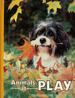 Animals at Play, De National Geographic Society. Books for Young Explorers, Vol. 1. Editorial S/D, Tapa Tapa Blanda En Ingls
