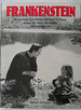 Frankenstein Everything You Always Wanted to Know About the