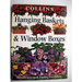 Hanging Baskets and Window Boxes