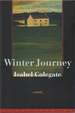 Winter Journey