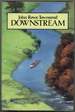 Downstream