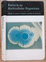 Bacteria as Multicellular Organisms