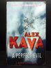 A Perfect Evil the First Book Maggie O`Dell