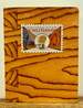 Letters From H.C. Westermann