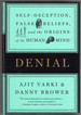 Denial: Self-Deception, False Beliefs, and the Origins of the Human Mind