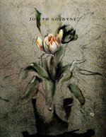 Joseph Goldyne
