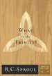 What Is the Trinity?