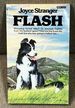Flash