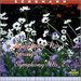 Schumann: Symphonies 1 & 2