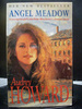 Angel Meadow