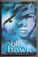 The Blue Hawk