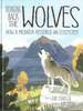 Bringing Back the Wolves: How a Predator Restored an Ecosystem