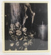 Ross Bleckner
