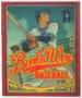 Barbed Wire Baseball: How One Man Brought Hope to the Japanese Internment Camps of Wwii