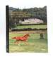 Equestrian Life: From Riding Houses to Country Estates