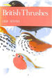 British Thrushes