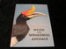 Weird and Wonderful Animals