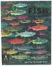 Fish Everywhere