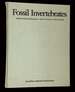 Fossil Invertebrates