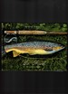 Go Fish Fishing Journal