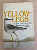 Yellowlegs