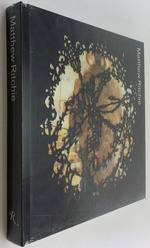 Matthew Ritchie: More Than the Eye [Artist Monograph]