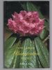 The Larger Rhododendron Species