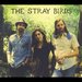 2012 Cd the Stray Birds