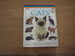 Cats (Pockets)