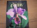 Success With Orchids