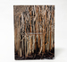 Doris Salcedo