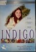 Indigo: a Film of Faith, Family & an Extraordinary Child [Dvd]