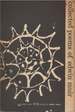 Collected Poems: 1921-1951