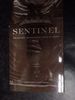Sentinel: the Unlikely Origins of the Statue of Liberty
