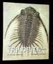 The Trilobite Book: a Visual Journey
