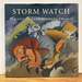 Storm Watch: the Art of Barbara Earl Thomas
