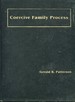 Coercive Family Process (Social Interactional Approach)