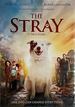 The Stray [Dvd]