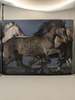Equus