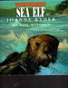 Sea Elf (a Just for a Day Book)