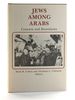 Jews Among Arabs: Contacts and Boundaries