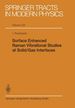 Surface Enhanced Raman Vibrational Studies at Solid/Gas Interfaces (Springer Tracts in Modern Physics)