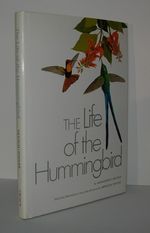 The Life of the Hummingbird