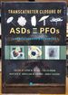 Transcatheter Closure of Asds and Pfos: a Comprehensive Assessment