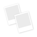 First Paragraphs: Inspired Openings for Writers and Readers (Writers Library) Newlove, Donald