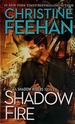 Shadow Fire (a Shadow Riders Novel)