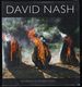 David Nash